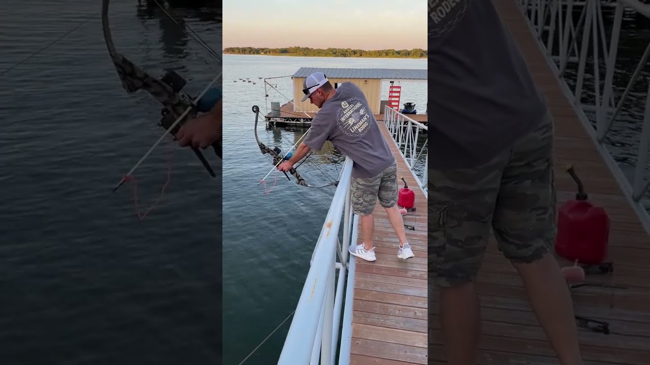 BOWFISHING /🐟/ On Carp from up High