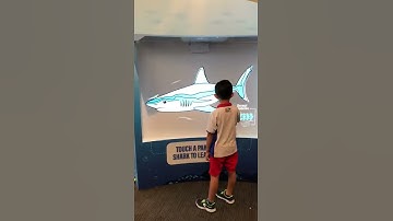 RWS Interactive Wall Projection