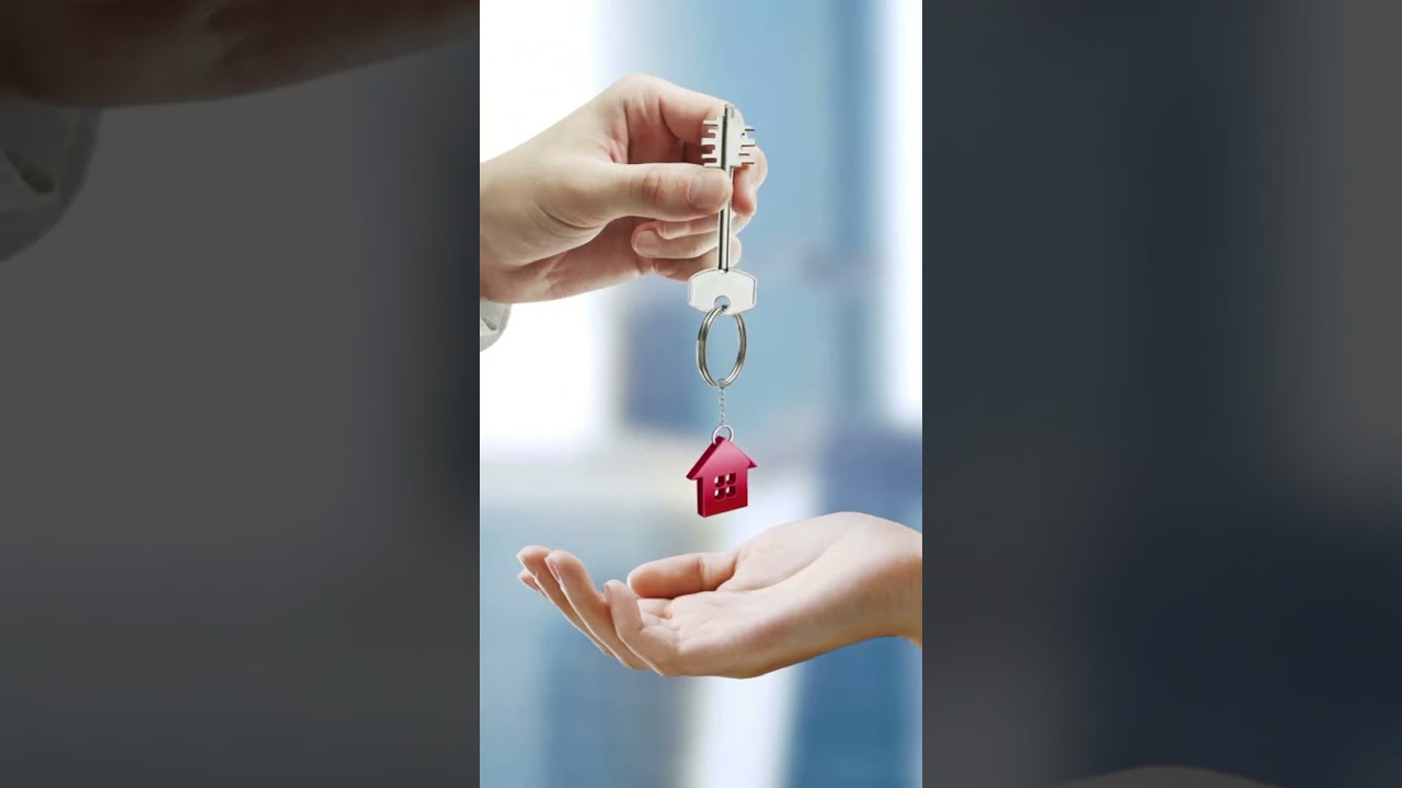 Легально! Реально! Возможно!