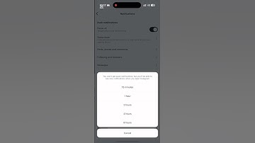 Temporarily Pause Instagram Notifications! #InstagramTips #NotificationSettings #TechShorts #TechOZO