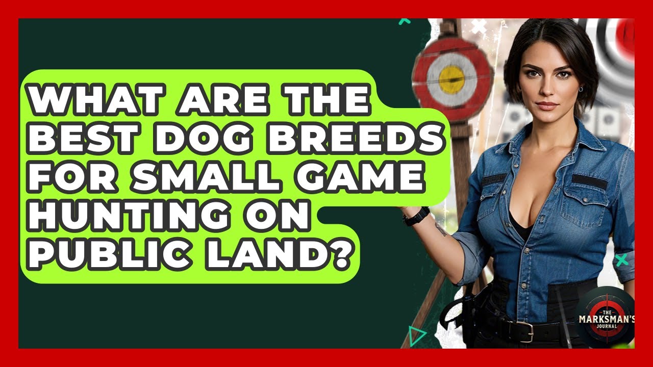 What Are The Best Dog Breeds For Small Game Hunting On Public Land? - The Marksman's Journal
