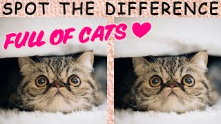 🐱 CATS 🐈 Spot the Difference #5 | Brain Games screenshot 1