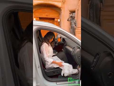 إتيكيت ركوب السيارة ايمان عفيفي اتيكيت    