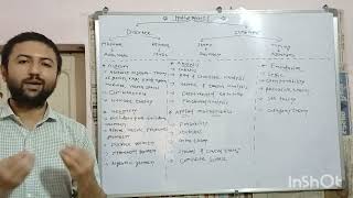 A Brief Introduction to Classification of Mathematics