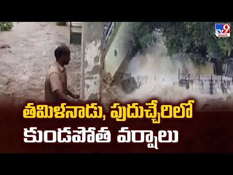 Heavy Rains : తమిళనాడు, పుదుచ్చేరిలో కుండపోత వర్షాలు - TV9 - TV9