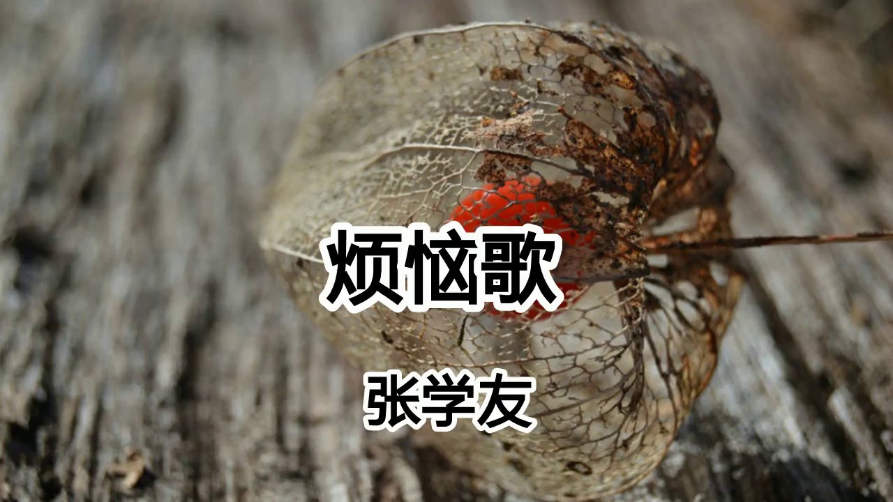 張學友《煩惱歌》壹起呼叫，沒有煩惱，除了呼吸其他不重要【2019抖音熱門歌曲】