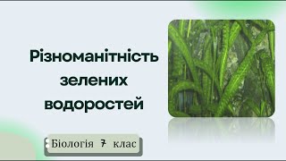 картинка: Різноманітність зелених водоростей