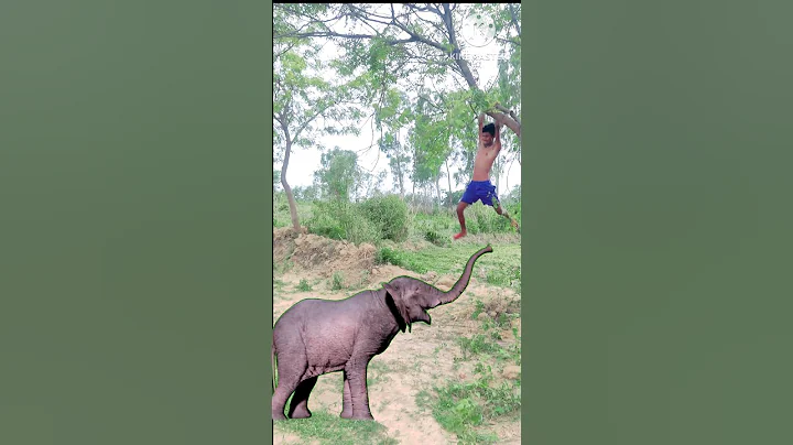 Big Elephant Attack On Me 🐘 #shorts #vairalshort #funny