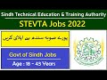 STEVTA jobs 2022