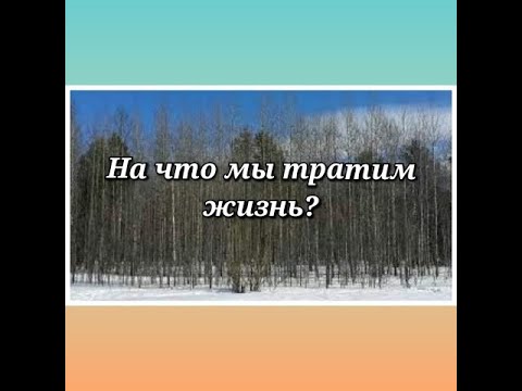 Видео: За смелостта и малодушието, за алчността и желаното