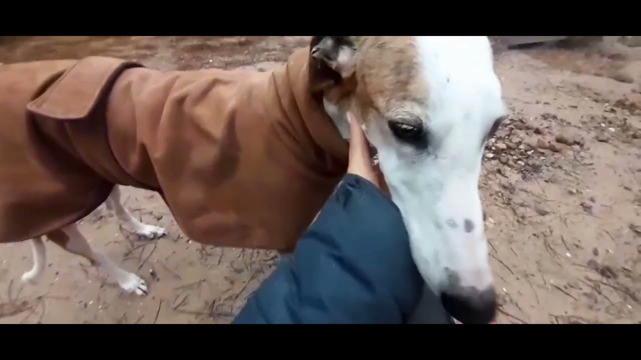 CA Estelle, ¡nos encantas!