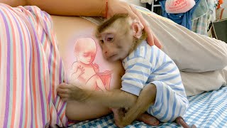 Monkey Puka cares very much about the baby in his mother's womb