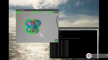 Online Rotation-Invariant Detector [OpenCV Code]