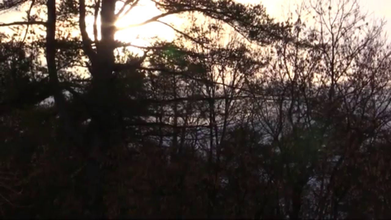 Goddard College MFAIA Commencement Keynote Presentation by Archie Shepp