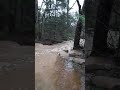 Small brook becomes impossible to cross after heavy downpour.