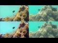 GoPro Hero 4 v Nikon 1 AW1 ...which camera is best for snorkelling ?