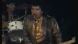 MI GENTIL MUCHACHITA -TROPICAL FLORIDA