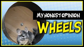 Chinchilla Wheel  SAFE WHEEL OPTIONS AND UNSAFE WHEEL OPTIONS | My Honest Opinion: Are Wheels Safe?