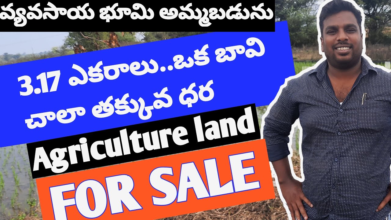 3acres agriculture land for sale in Telangana with low pricecheap lands in telanganakavati