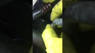 2004 Mercury Grand Marquise Power steering um install made easy Part 1