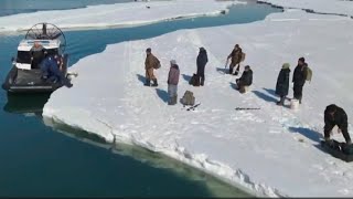 Двадцать рыбаков застряли на отколовшейся льдине в бухте Гертнера в Магадане