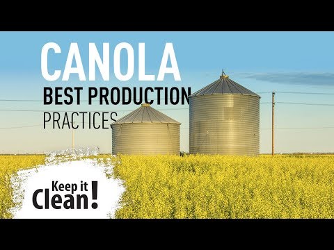 Keep it Clean! - Canola Best Production Practices