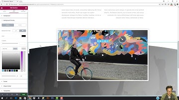 How to use Divi premade layouts
