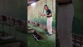 Cu Chi Tunnels Tour from Ho Chi Minh City | Vietnam War History & Day Trip with Local Guide