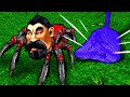 Неубиваемые пауки в Warcraft 3