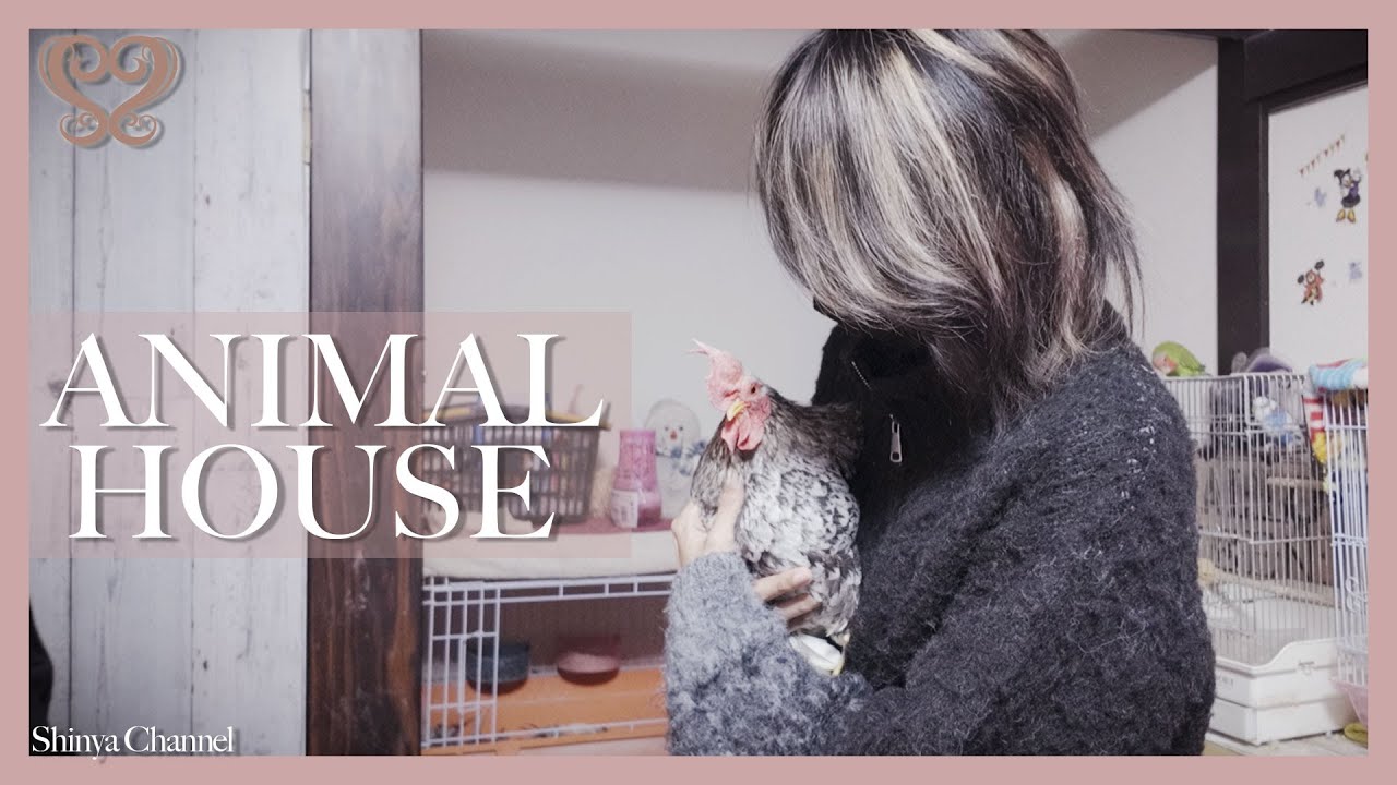 【Зверинец】Я посетил Страну животных Ваку-Ваку!