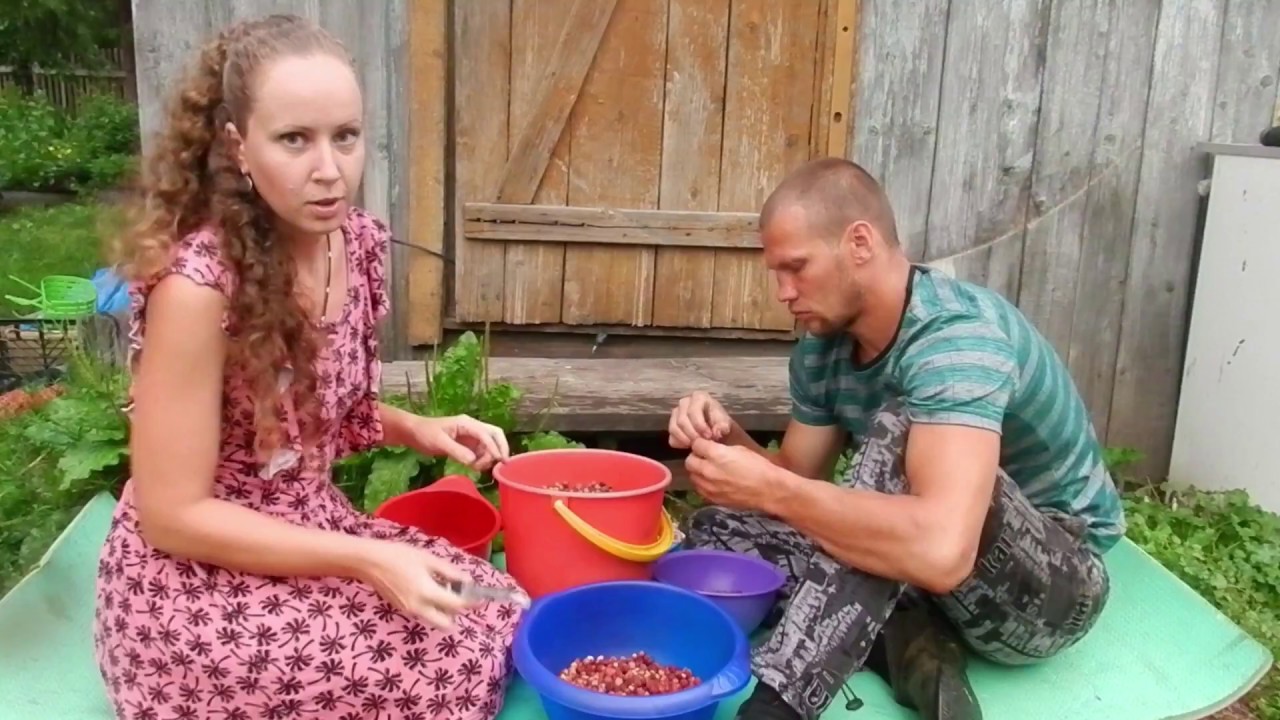 жизнь в деревне ютуб новое видео. жизнь в деревне ютуб. жизнь в деревне ютуб новое видео. канал жизнь в деревне. жизнь в деревне одному.