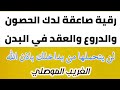 رقية مزلزلة وصاعقة لكل درع وحصن في البدن لن يتحملها من بداخلك بأذن الله المقدمة مهمة الغريب الموصلي