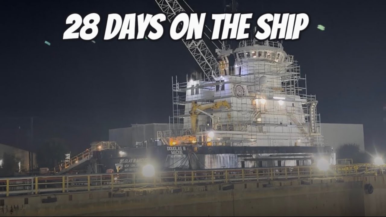 Day 25 on the Ship: Questions I Get Everytime I Tell People What I Do ...