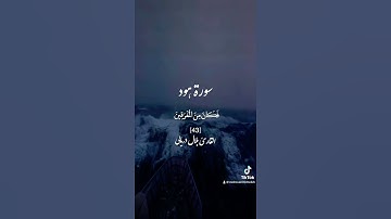 #بلال_دربالي #ارح_قلبك💛ماتيسر من #سورة_هود