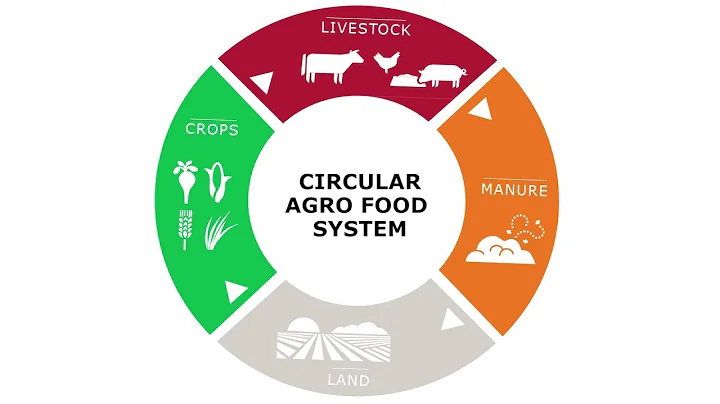 Circular Agrifood : Solution for Sustainable Agriculture and Food Systems
