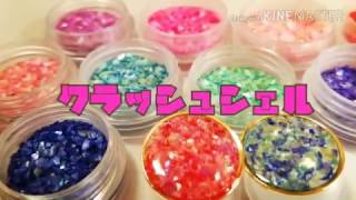 クラッシュシェル のみ 封入 レジン