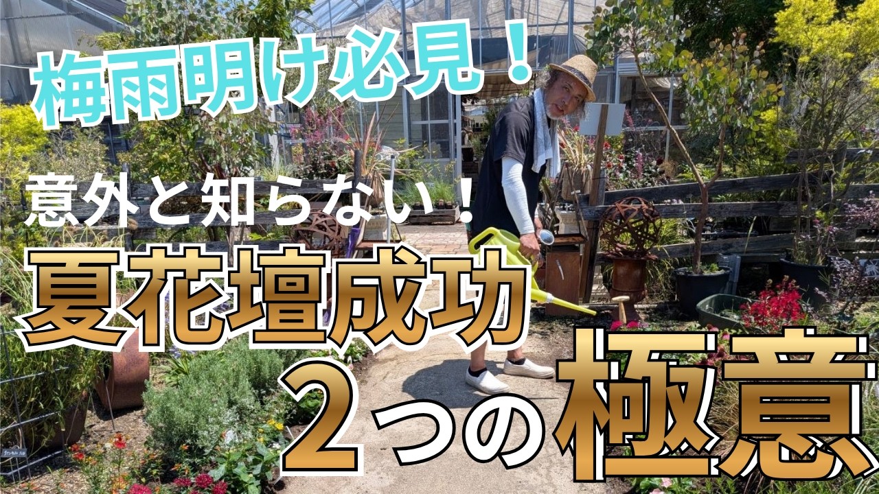 The Secrets to Planting in July After the Rainy Season! The