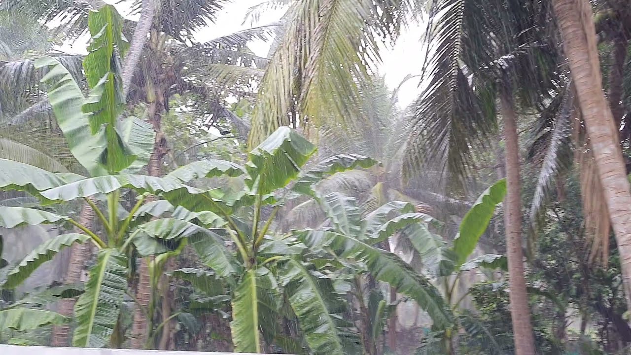 బండారులంక గ్రామంలో భారీ వర్షం | Heavy rain in Bandarulanka village - Way2News