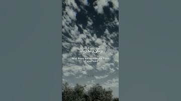 #القرانالكريم #القارئ #ياسر_الدوسري #تلاوات #قرآن #راحة_نفسية #قراءة_خاشعة #reels #quran #fyp #views
