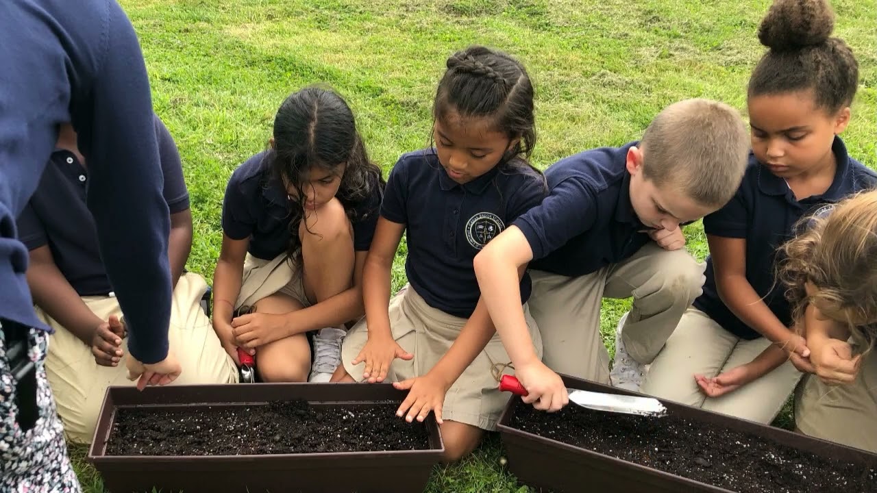 CBS Introduction Video