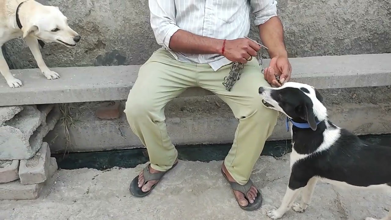 डीपी का दुश्मन देखो कौन है 🙏 