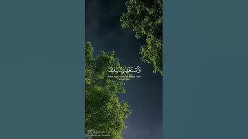 فاصبر ان وعد الله حق #قران_كريم #روائع_التلاوة