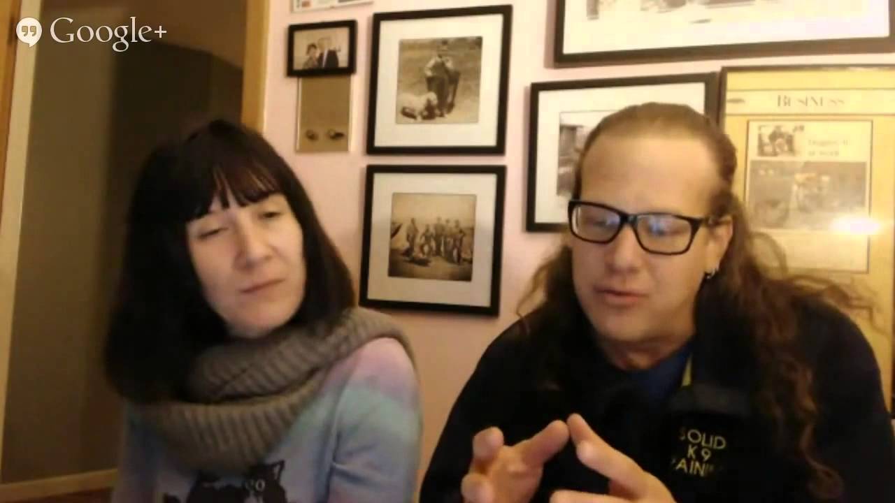 dog trainer in delhi What Would Jeff Do 2/21/2015 How To Dog Training