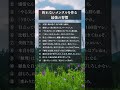 折れないメンタルを作る最強の習慣12選 #人間関係 #言葉 #自己啓発 #お金 #習慣