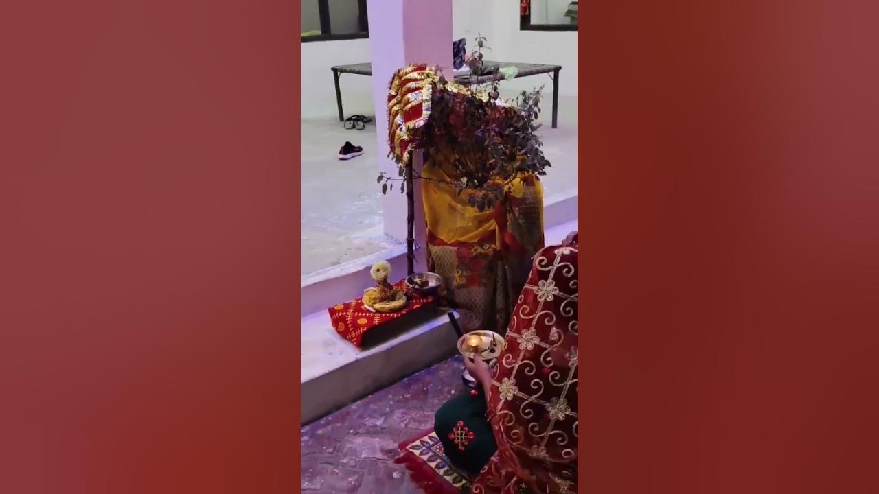 Tulsi pooja 2024 indiansong sanatandharma tulsivivah YouTube
