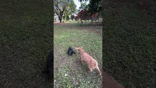 Download Lagu December 6, 2023 MP3