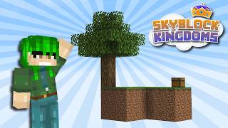 I Joined Minecraft's Biggest Skyblock SMP