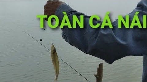 Tiếp tực một ngày đi câu cá bóng đục ở Cần giờ || Câu cá thiên nhiên