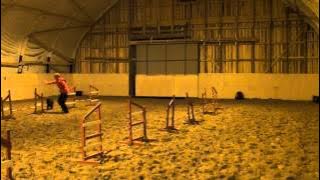 Molliagility 2012 11 26 Saila Maisa 03