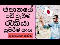 ජපානයේ සුපිරිම අංශ හා පඩි වැඩි රැකියා | Japan jobs for Sri Lankans | Japan job salary Sinhala
